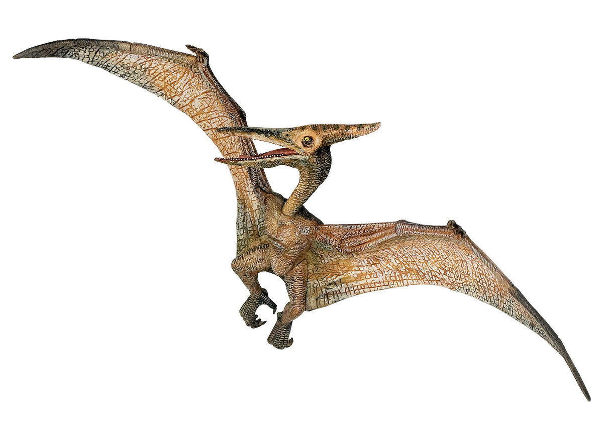 Pteranodon, Flying Reptile, Late Cretaceous, Pterosaur