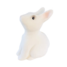 Load image into Gallery viewer, Egmont Toys Rabbit Savings Bank