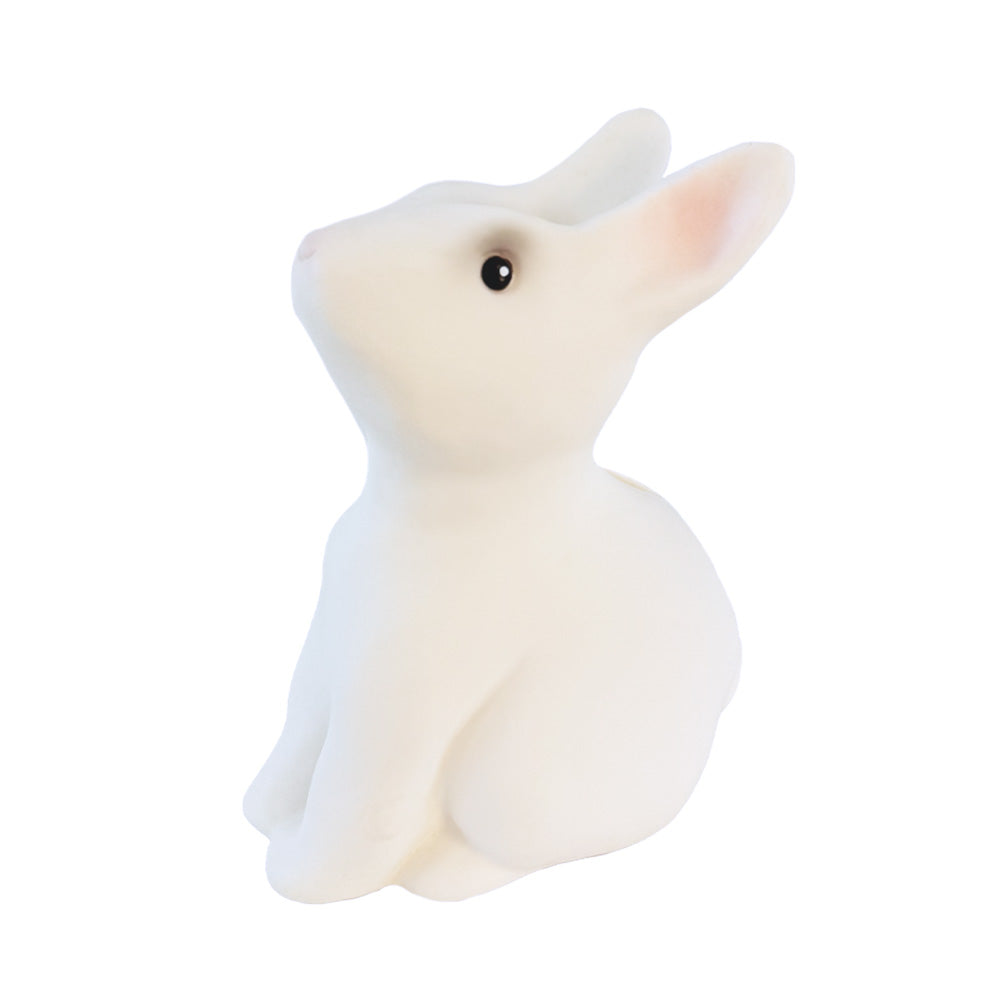 Egmont Toys Rabbit Savings Bank