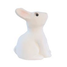 Load image into Gallery viewer, Egmont Toys Rabbit Savings Bank