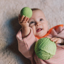 Load image into Gallery viewer, OLI&amp;CAROL Veggie Salad Baby Sensory Balls