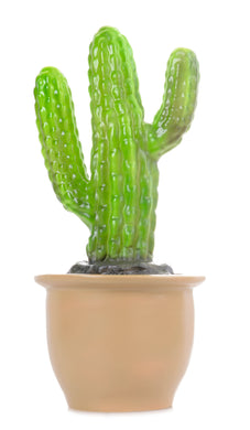 Egmont Lamp - Finger Cactus In Pot w/ Plug