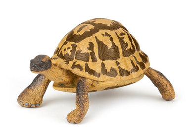 Papo France Hermann's Tortoise