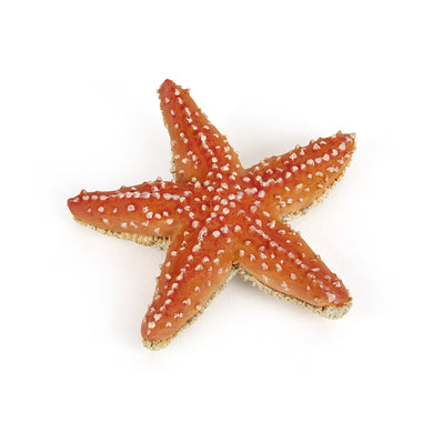 Papo France Starfish